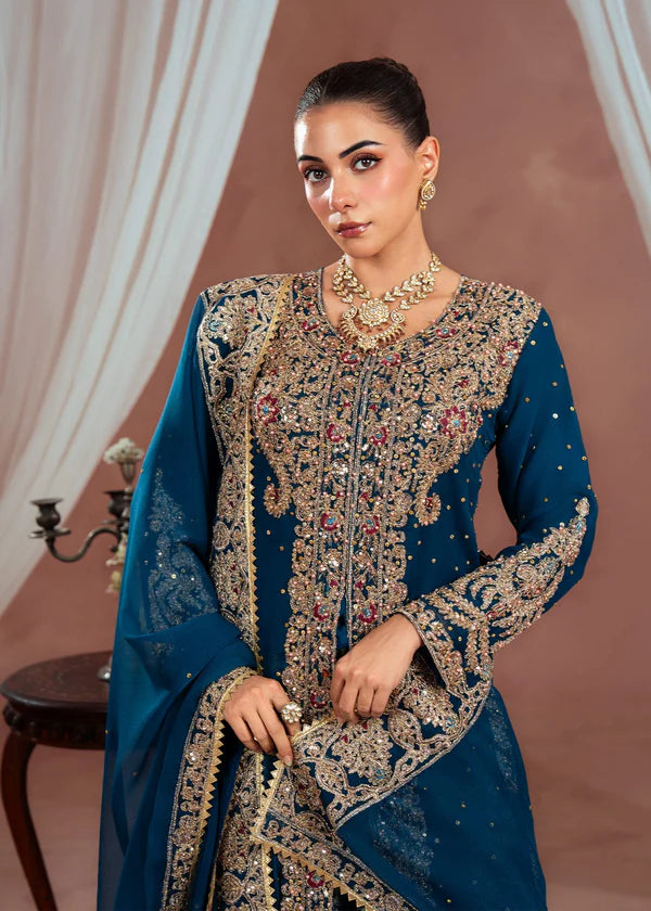 Embroidered chiffon & brocade chiffon by Simrans