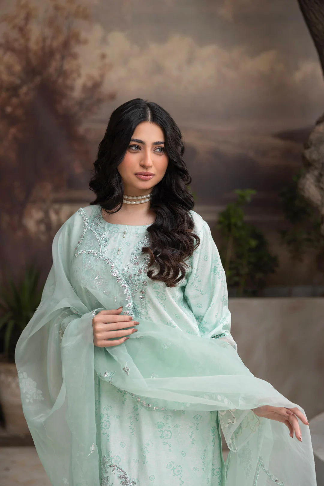 Embroidered Farshi Shalwar